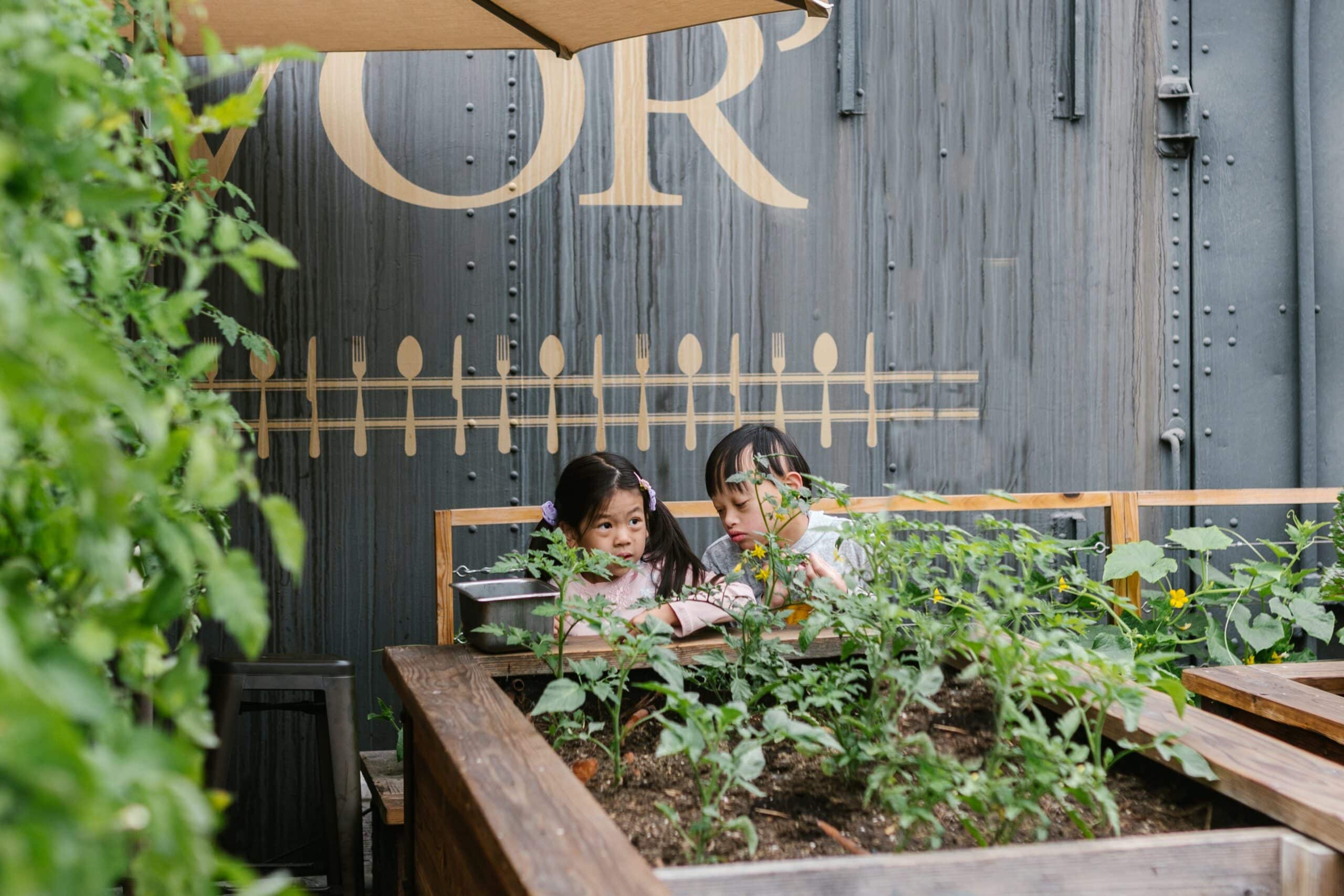 3 ting du kan bruge dine plantekasser til